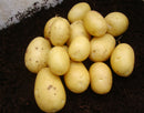 Seed Potatoes 'Vivaldi' 2KG