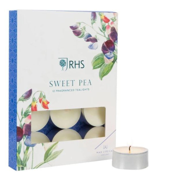 Wax Lyrical RHS Sweet Pea Pack of 12 Fragranced Tealights