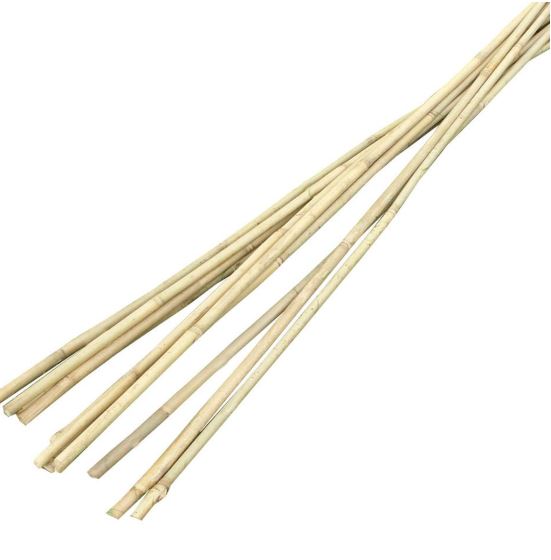 Bamboo Canes x 10 5ft - NORFOLK DELIVERY ONLY