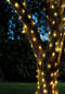 Smart Garden Products Eureka Lighting Firefly String Lights 100 LED