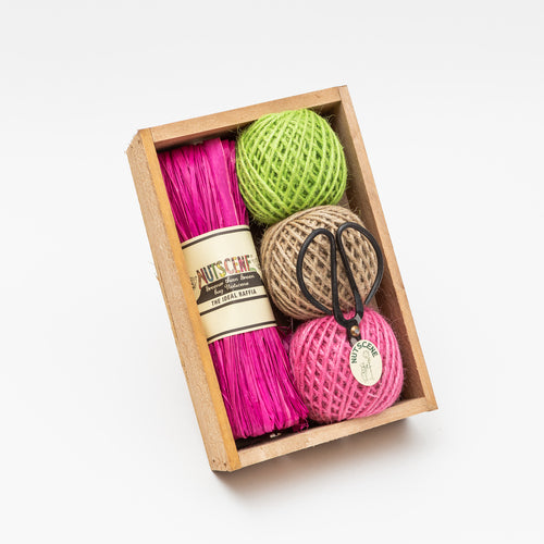 Nutscene Wooden Seed Tray Gift Set Modern Colours